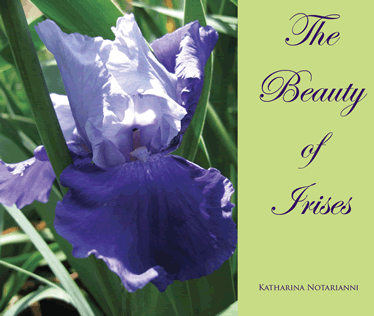 The Beauty of Irises by Katharina Notarianni
