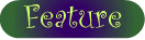 Healing Time Books - Featured Book - The Beauty of Irises by Katharina Notarianni
